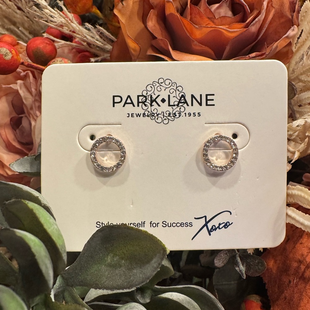 Park Lane Silver Circle Earrings